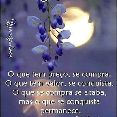 lourdesguerrei4's profile picture. Sou da Paz🌾🌻🌹☀️💜💜