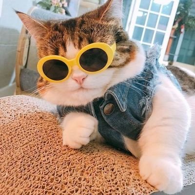 cowさんのプロフィール画像