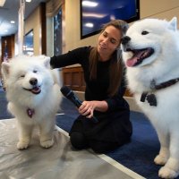 Kathryn Lyons (@kathhl) Twitter profile photo