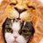にゃんのアイコン