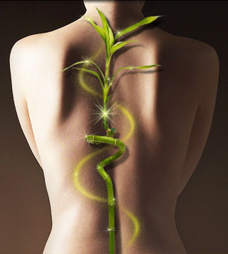 urChiroWellness's profile picture. Your Chiropractic Wellness | Our mission is to educate and adjust people improving their quality of life using natural chiropractic.