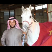 محمد خالد الشنيتير (@al_shneter) 's Twitter Profile
