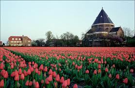 LisseNieuws's profile picture. Laatste Nieuws Uit Lisse !