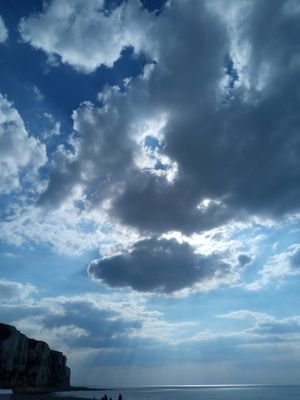 sylvie_grare's profile picture. 