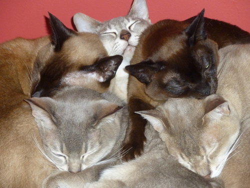 catztayl's profile picture. hillwalking, reading, now running too! Love all things crafty and outdoorsy!