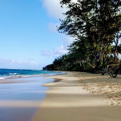 Molly02056079's profile picture. 