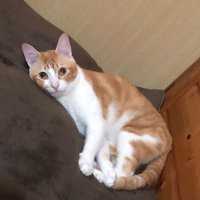 キラ (@prmnvlayiddx7dc) 's Twitter Profile