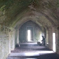Solivagant (@richdn) 's Twitter Profile