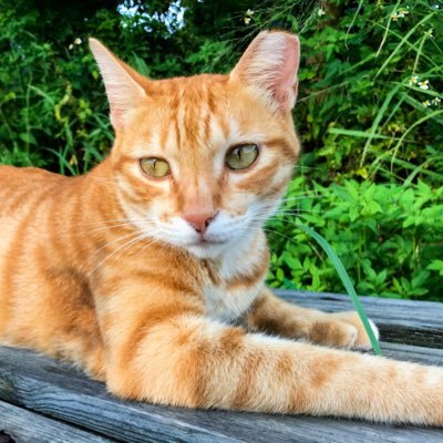 JayJJuan's profile picture. 