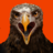 vorboten's profile image