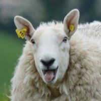 Barry Jenakuns (@jenakuns) 's Twitter Profile Photo