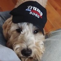 Coux (@jeffcoux10) 's Twitter Profile
