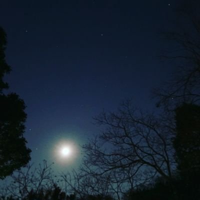 kozyumama's profile picture. 