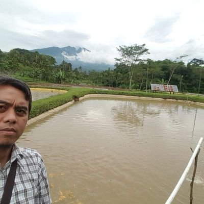 Bangione14's profile picture. pelayan