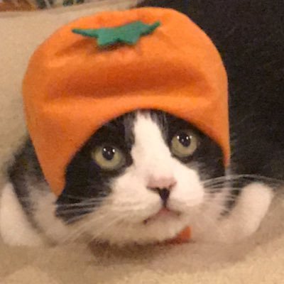 kaaooru's profile picture. 