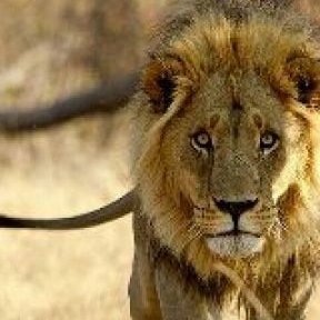 joseloquintero1's profile picture. vivo con mis padres,seguidor de todo tipo de cine, soltero sin apuro