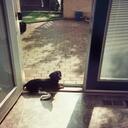 Kim Tolley Hancock - @sunshine61607 - Twitter