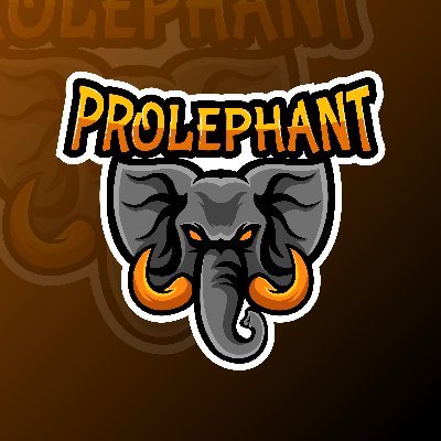 _ProLephant Profile Picture