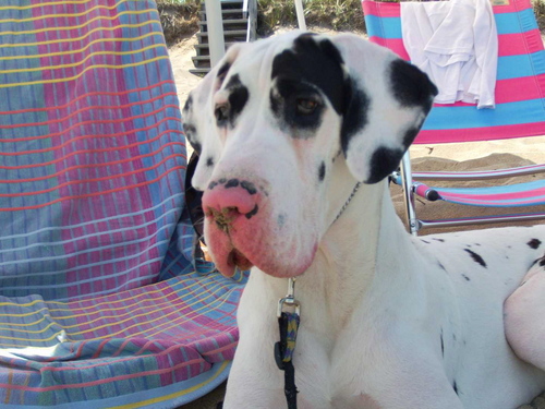 cgorak's profile picture. 