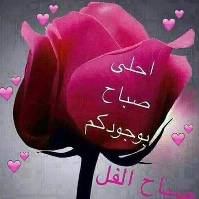 hima6661's profile picture. 