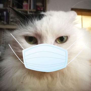 猫脚司幽さんのプロフィール画像