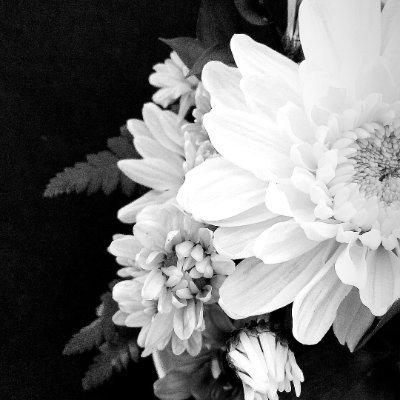 dinarayuu's profile picture. Janma tan kena kinira 🌿