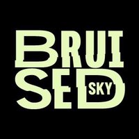 Bruised Sky(@BruisedSky) 's Twitter Profile Photo