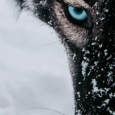 Samed87739382's profile picture. Gizlilik