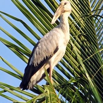 mQCu2XmAnfuJX2N's profile picture. พนักงานบริษัท