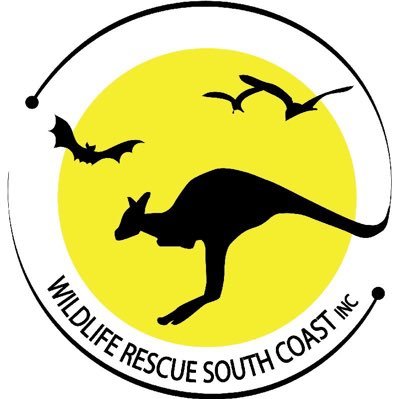 Licensed Wildlife Rescue and Rehabilitation from Wollongong/Southern Highlands/Batemans Bay to Victorian Border