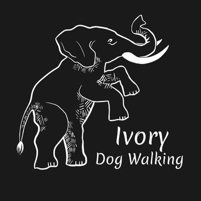 Hi I’m Zac, Welcome to my canine world If you need an experienced dog walker who is insured & qualified in canine first aid, then enquire today