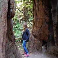 Ayelet Harel (@ayelet_harel_s) 's Twitter Profile