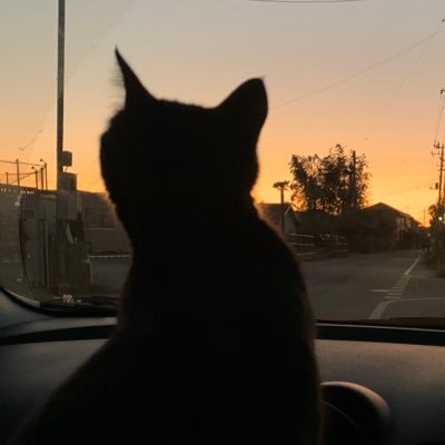 valwmpt_0101's profile picture. All the misfortunes in this world caused by their inability.