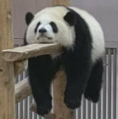 きゃさりん📎さんのプロフィール画像