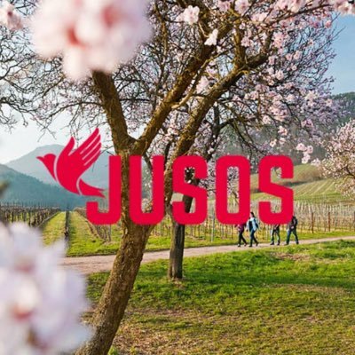 Offizieller Twitteraccount der Jusos Südliche Weinstraße #SÜW #Jusos