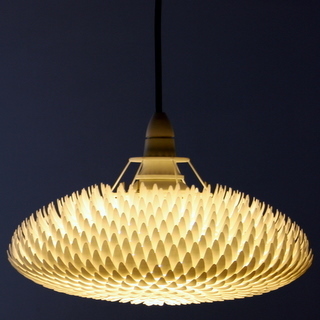 SandFlora Lighting is an interior luminaire design company. We love light and take inspiration from the Australian bush.