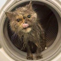 Math is Funs (@mathisfuns) 's Twitter Profile