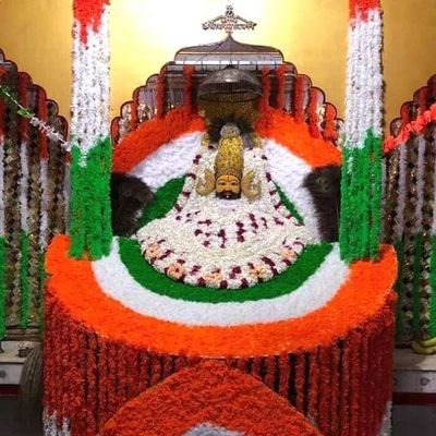 Sk53199411's profile picture. 