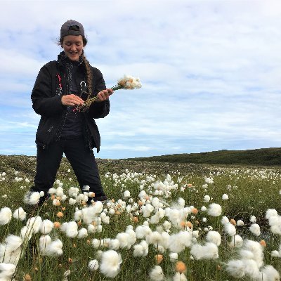 Arctic | muskox | plants | art | politics and everything else.

Msc student in biology at @universitelaval and @NTNUnorway.