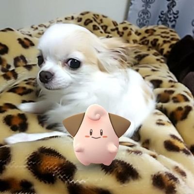 nyanta1985's profile picture. １９年から日記代わりに書いてる
#精神科看護
#家庭菜園
#ハンドメイド
#お菓子
#手芸
#心理テスト