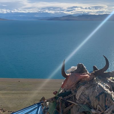 jia055321's profile picture. enjoy happy life