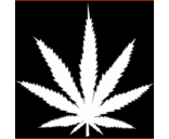 Brian Toker - @t3chtoker - Twitter