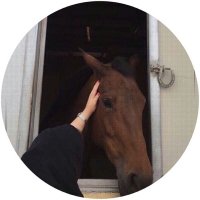 عاشهه💙. (@9_arh) Twitter profile photo