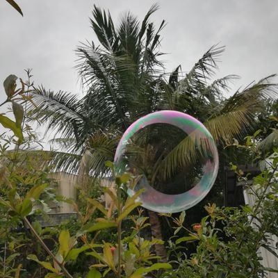 RickJD2's profile picture. A gamer, sportsman's and an Anime fan