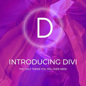 DiviExperts's profile picture. Looking For Divi Theme Experts? That's us! We host only on WP Engine, designing and building every WordPress website using Divi’s Visual Drag & Drop technology.