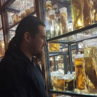 Dr. Maik Damm 🐍 (@dammmaik) 's Twitter Profile