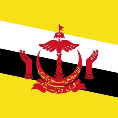 BRUNEI_RBX's profile picture. Thank you for all the support.