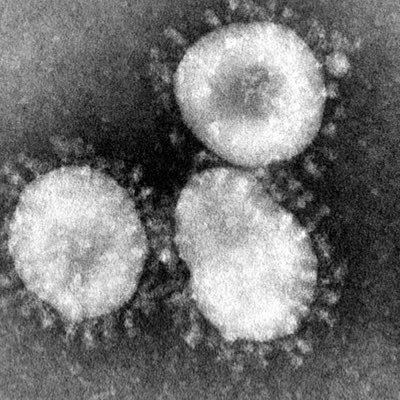 Updated CoronaVirus News