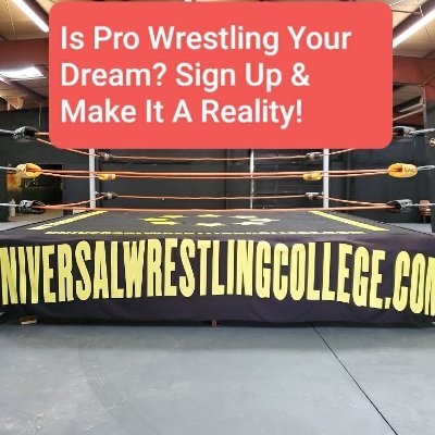 Pro Wrestling Legend, Owner-Founder, Austin Idol's Universal Wrestling College. SIGN UP & Get Started!