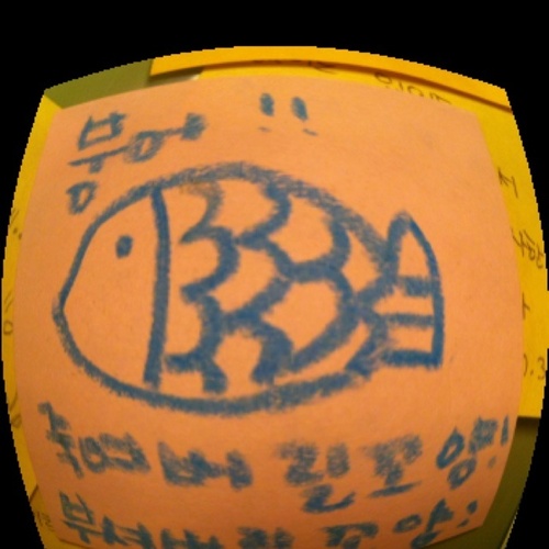 ccinon9's profile picture. 